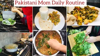 House Wife Daily Routine Vlog | Quick Rice In Cooker | Earning From Single Recipes | Chicken Saag