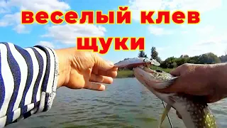 Ловля щуки на воблер осенью. Веселый клев щуки