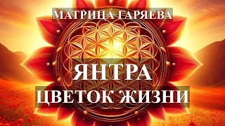 Янтра Цветок Жизни🌞Матрица Гаряева💎Yantra Flower of Life🌞Garyaev Matrix