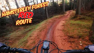 Hamsterley Red Route - Over The Hill Mountain Biking