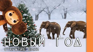 🎄 Вчера Дед Мороз со Снегурочкой торжественно открыли Главную новогоднюю елку в зоопарке! #zoo