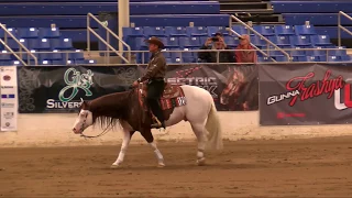 Titan's 2018 Cactus Reining Classic Open Derby Run