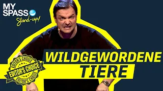 Wildgewordene Tiere | Empfehlung aus der Redaktion - BestOf