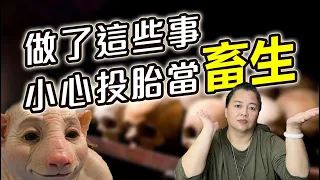 【輪迴】做了這些事，小心輪迴畜生道！因果報應現在知道還不晚！畜生道投胎轉世案例