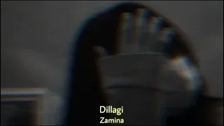 Dillagi (Slowed+Reverb) | Zamina