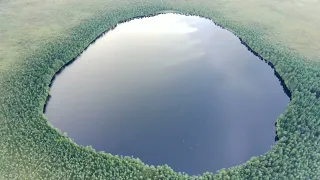 Озеро Любыш, новгородский район
