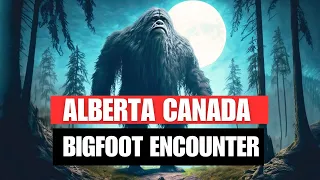 Bigfoot Encounter Stories: Class A Encounter From The Alberta Canada