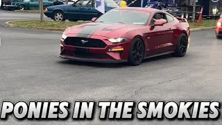 Ponies in the Smokies 2024 Shine Run Meet part 1 #shorts #viral #fyp #mustang #ford