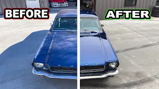 Restoring HORRIBLE PAINT on our 1965 Mustang! (INSANE Transformation)