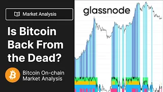 Is Bitcoin Back From the Dead? (On-chain Analysis Market Update)