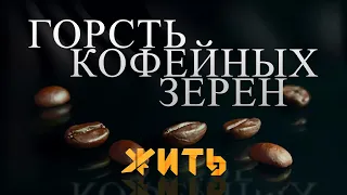 Горсть кофейных зерен