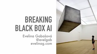 Breaking black-box AI - Evelina Gabasova