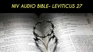 LEVITICUS 27 NIV AUDIO BIBLE (with text)