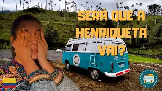 REENCONTRO NO MEIO DA COLÔMBIA (VALLE DEL COCORA/COLÔMBIA)