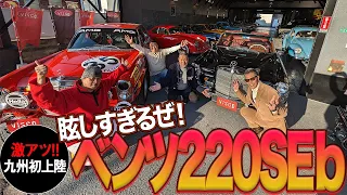 【中年と中古車】クラシックなベンツがザックザク。希少ドイツ車の宝石箱を見つけた‼　#中年と中古車　#mercedes 　#visco