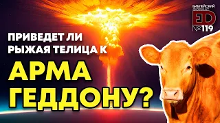 Приведет ли рыжая телица к Армагеддону?