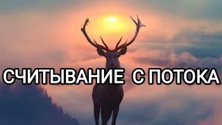 СЧИТЫВАНИЕ с ПОТОКА 🌀