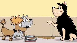 Gnasher is Famous | Funny Episodes | Dennis and Gnasher