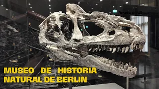 Porque el Tiranosaurus  Rex  es el dinosaurio más importante?