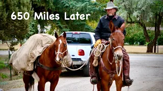 650 Miles On Horseback - ALONE | Engels Coach Shop