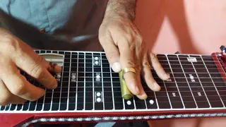 Grandioso ès Tu Guitarra Havaiana Hawaiian Steel Guitar 12 cordas