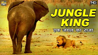 एक जंगल राजा की विरासत The Legacy Of A Jungle King | World Documentary HD