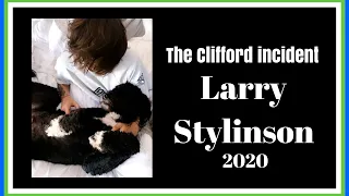 Harry and the Clifford incident | Larry Stylinson 2020