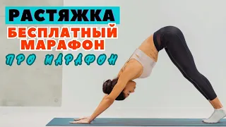 БЕСПЛАТНЫЙ МАРАФОН ПО РАСТЯЖКЕ / ГИБКОЕ ТЕЛО / СУСТАВНАЯ ГИМНАСТИКА / ТРЕНИРОВКА