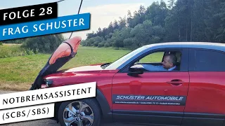 🚗 Mazda Notbremsassistent | Test + Eure Fragen | Tipps & Tricks | SCBS/SBS [#28] Frag Schuster