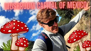 Taking magic mushrooms in the mushroom capital of Mexico - San Jose Del Pacifico Oaxaca