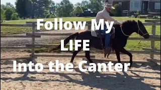 Posting Into the Canter