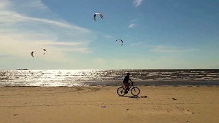 Летний день в Сестрорецке. Санкт-Петербург - Курорт