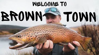 Big Brown Trout Fishing - Eucumbene River Spawn Run