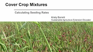Cover Crop Mixtures: Calculating Seeding Rates