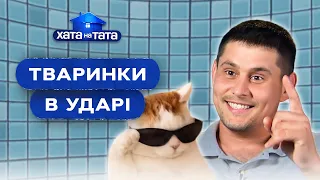 На коленях перед котами: папы воспитывают животных – Хата на тата | ЛУЧШИЕ ВЫПУСКИ