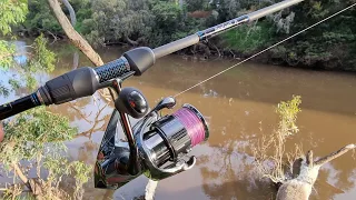 Just How Good Is The 22 Shimano Stella FK 2500HG?? #shimano #shimanostella #bassfishing