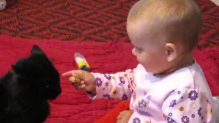 Funny little girl feed her cat cookies