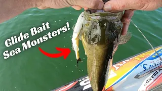 Chasing Sea Monsters With The Nessie Glide Bait!