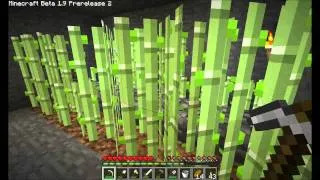 Let's Play Minecraft Part 183 - Was haben wir denn da?