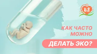 🙋‍♀️  Как часто можно делать ЭКО?