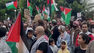 Rally in support of Palestinians held in Sydney's Hyde Park