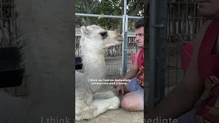 Rescued Camel Keeps Breaking Into His Dad's Kitchen | The Dodo
