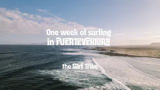 One week of surfing in Fuerteventura