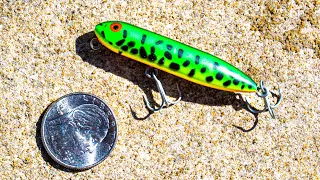 WORLDS Smallest Topwater | EPIC Non-Stop Action!
