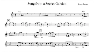 Trumpet Play-Along - Song from a Secret Garden - with sheet music