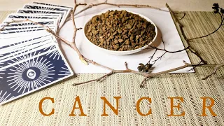 CANCER🌏Earth Reading🌱There's NO HOLDING BACK this GIANT Success! 7th-13th February 2022