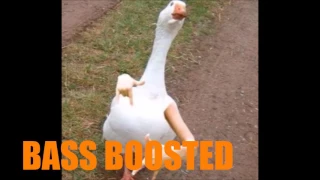 Denn ich dance mit de Gänse (Bass Boosted)