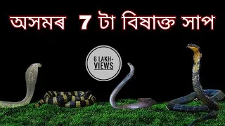 Top 7 Venomous snakes of Assam || অসমৰ বিষাক্ত সাপ || Arpan Partha
