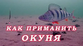 Как ПРИМАНИТЬ ОКУНЯ! Безотказная Приманка РАБОТАЕТ ВСЕГДА и У ВСЕХ!