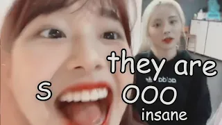 what happens when loona do vlives